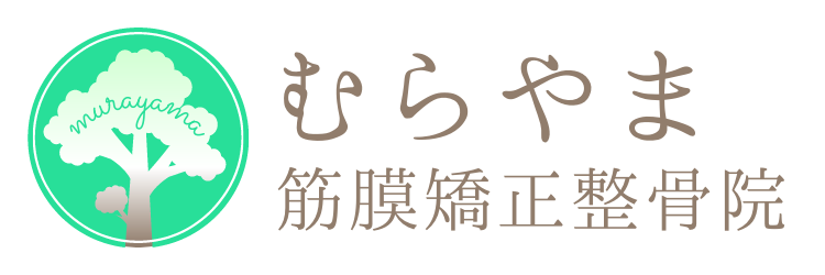 ホームページ制作